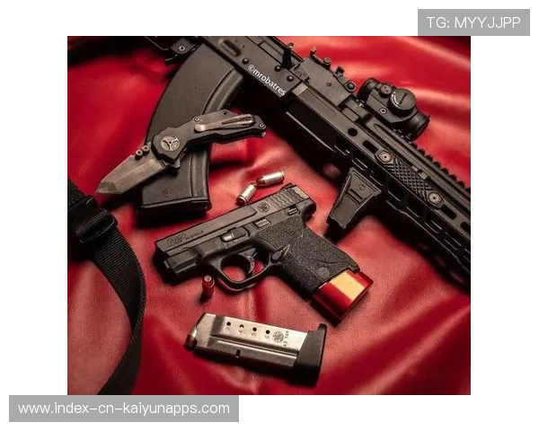 枪迷期待更多贡献